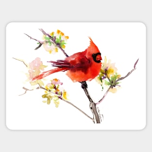 Red Cardinal Sticker